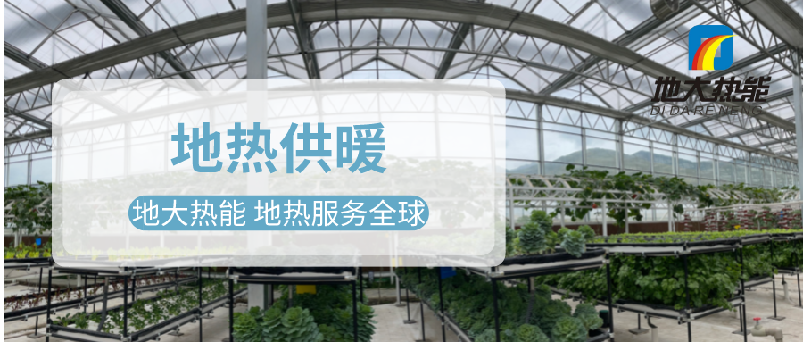 發(fā)揮地?zé)豳Y源優(yōu)勢，地?zé)徂r(nóng)業(yè)實現(xiàn)花卉產(chǎn)業(yè)特色發(fā)展 | 地大熱能 地?zé)岱?wù)全球